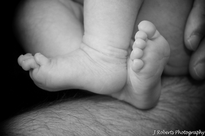 babies feet - newborn portrait photography